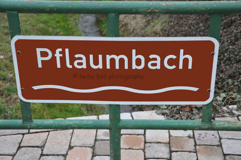 Der Pflaumbach in Radheim 