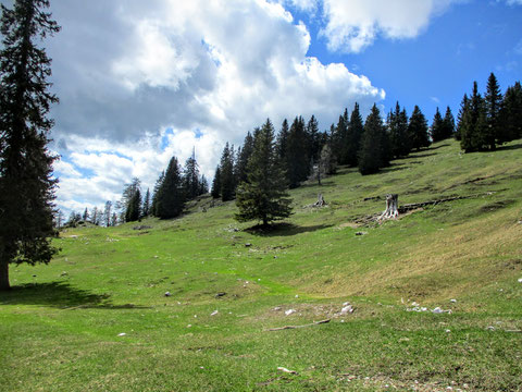 Aloisiasteig, Dobratsch, Villacher Alpe, wandern