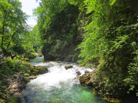 Vintgarklamm, Vintgar, Rotweinklamm, Julische Alpen, Bled