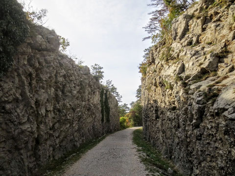 Adria Trail, Rosandratal, Radweg Giordano Cottur, Bahnstrecke