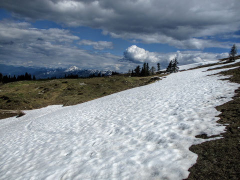 Aloisiasteig, Dobratsch, Villacher Alpe, wandern