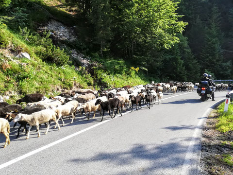 Mangartstraße, Predil, Julische Alpen, Triglav Nationalpark