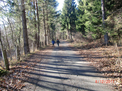 Dobratsch, Schütt, Bergsturzgebiet, Weinitzen