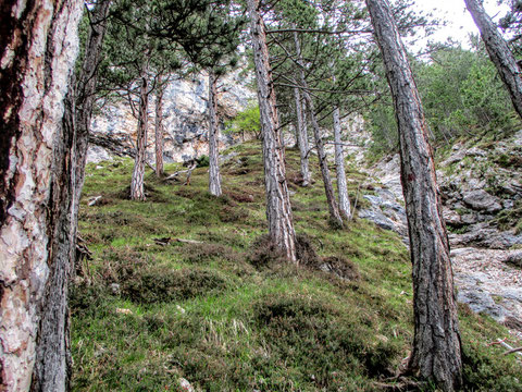 Aloisiasteig, Dobratsch, Villacher Alpe, wandern