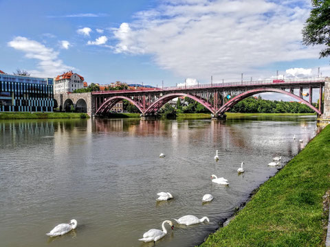 Maribor, Marburg, Drau