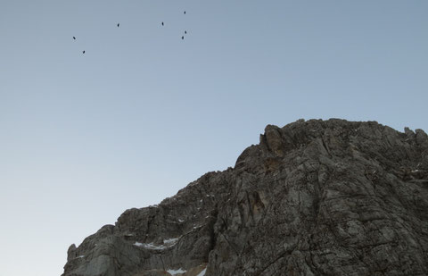 Julische Alpen, Mangart, Klettersteig