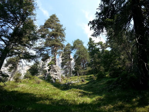 Wildromantische Landschaft wie aus einem Heimatfilm