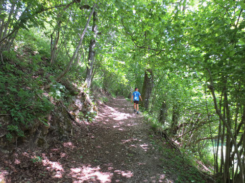 Weinitzen, Naturpark Dobratsch, Schütt, Alpe Adria Trail