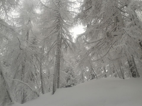 Luschariberg, Monte Lussari, Pilgerweg, Büßerweg