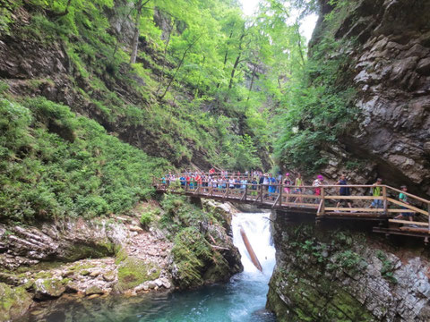 Vintgarklamm, Vintgar, Rotweinklamm, Julische Alpen, Bled