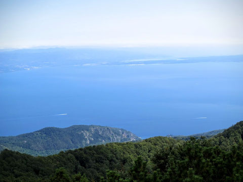 Vojak, Monte Maggiore, Istien, Kvarner Bucht