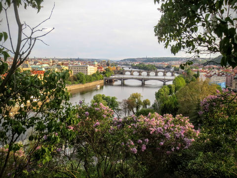 Prag, Moldau, Karlsbrücke