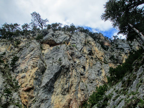 Aloisiasteig, Dobratsch, Villacher Alpe, wandern