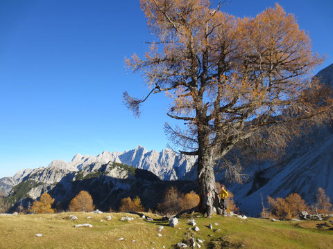 Slemenova Špica wandern, Julische Alpen