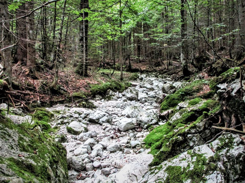 Alpe Adria Trail, Triglav Nationalpark, Soca, Julische Alpen