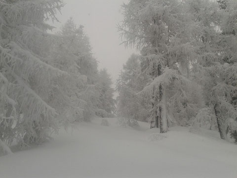 Luschariberg, Monte Lussari, Pilgerweg, Büßerweg