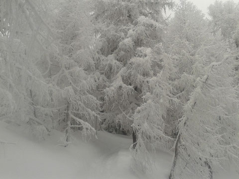 Skitour Luschariberg, Monte Lussari, Tarvis, Pilgerweg, Büßerwe