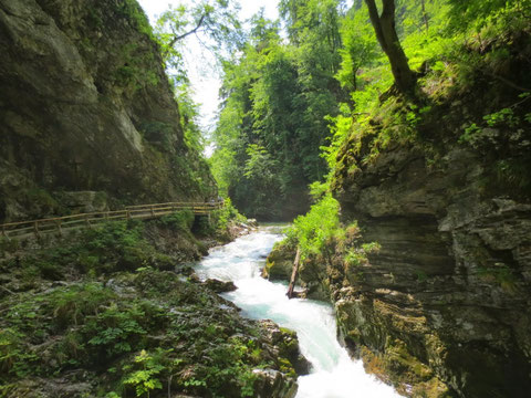 Vintgarklamm, Julische Alpen, Bled, Schlucht, Preise, Öffnungszeiten