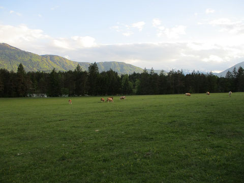 Dobratsch, Villacher Alpenstraße, wandern, Kranzwandsteig