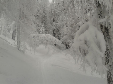 Skitour Luschariberg, Monte Lussari, Tarvis, Pilgerweg, Büßerweg, Winter