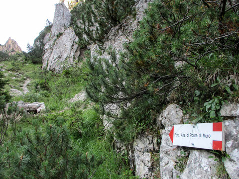 Unser Weg führt steil hinauf zur Forcella alta di Ponte di Muro