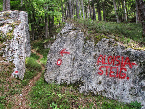 Aloisiasteig, Dobratsch, Villacher Alpe, wandern