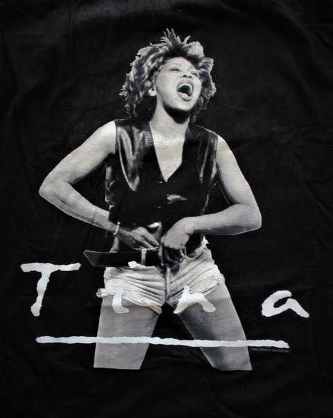 Tina Turner Wien 1993