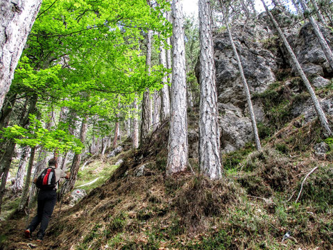 Aloisiasteig, Dobratsch, Villacher Alpe, wandern