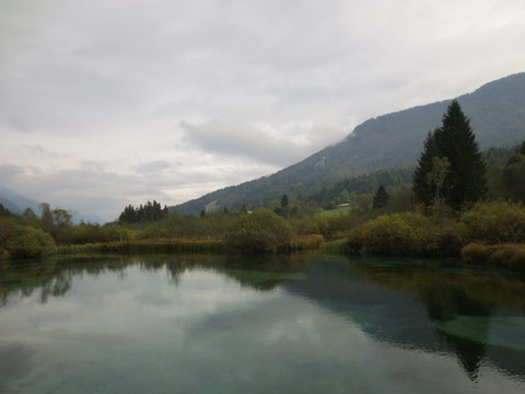 Zelenci, Kranjska Gora, Save Ursprung