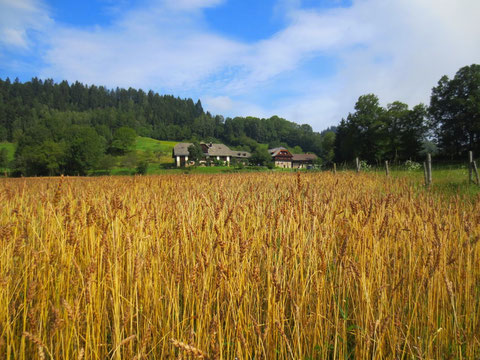 Wimitz, Kraiger Schlösser, Frauenstein, Gurk