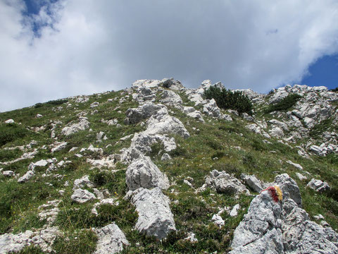 Von der Forcella Chiavals geht es durch Schrofengelände steil bergauf zum Grat des Monte Chiavals