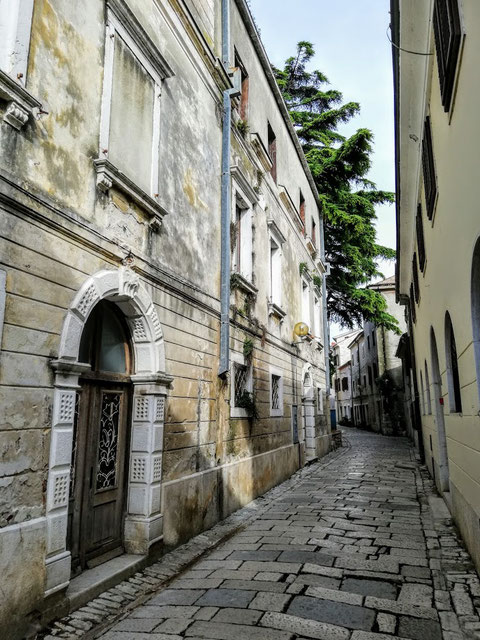 Porec Radtour, Euphrasiana, 143, Fahrrad, Istrien