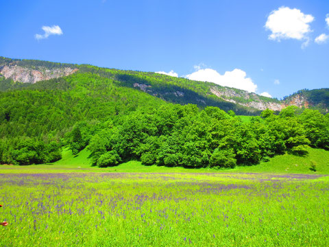 Weinitzen, Naturpark Dobratsch, Schütt, Alpe Adria Trail