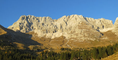 Forca dei Disteis, Montasch, Pecol