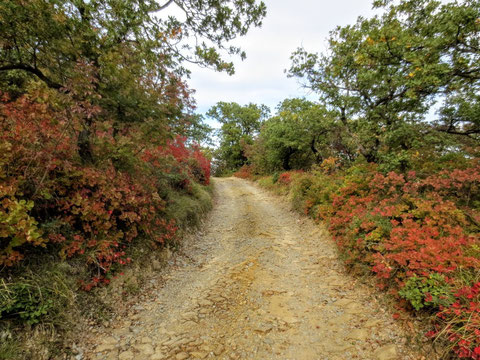 Alpe Adria Trail, Muggia, letzte Etappe