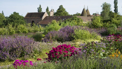 Gartenfoto auf der Gartenreise nach England
