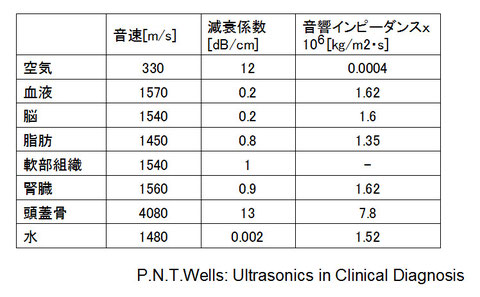 表１：生体組織音速一覧