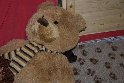 Suchbild mit Otto