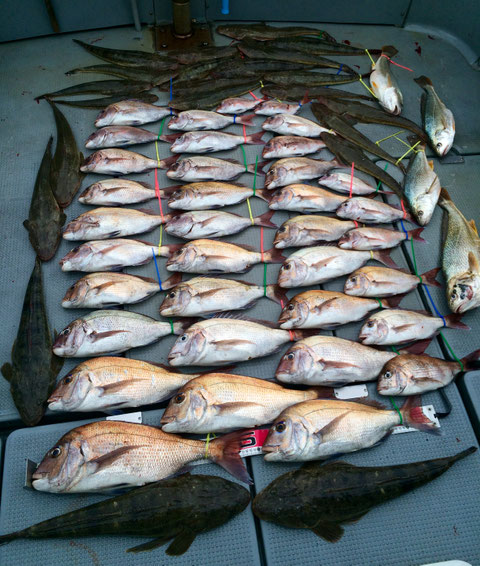 竿頭M建社長様！　11fishお見事でした！(^^♪