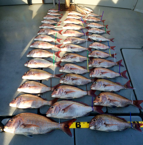 竿頭！関西の達人10Fish！自分さえ良ければ満足！写真はNG(笑)