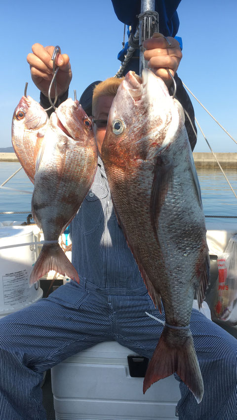 66㎝頭に3Fish!ですがダービー参加せず……。((+_+))