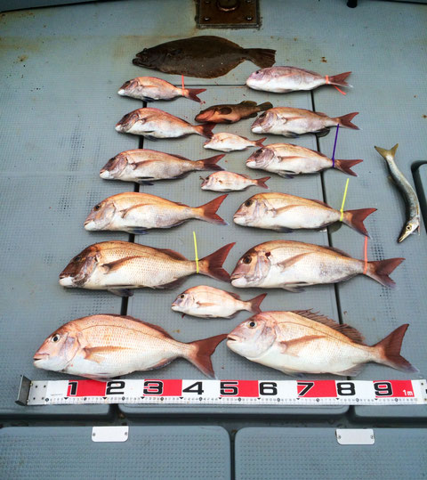 4名様ご乗船ありがとうございました。(*^_^*)　S様7Fishお見事でした！みなさんもナイスゲッツです！！長時間巻き*2お疲れ様でした(*^_^*)　又のご乗船お待ちしてます。