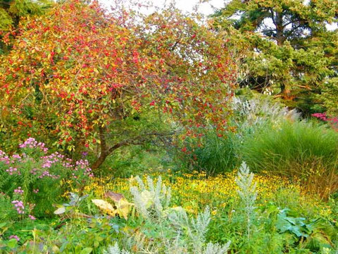 Der Stadtgarten an der Vegesacker Weserpromenade im Herbst