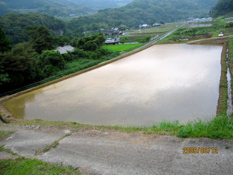 今日は何もしない。田圃が濁っているのは、水漏れか無い証拠で良いことらしい。何処か漏れ　てる所あると、濁りはなくなり当然ながら水量も減る。