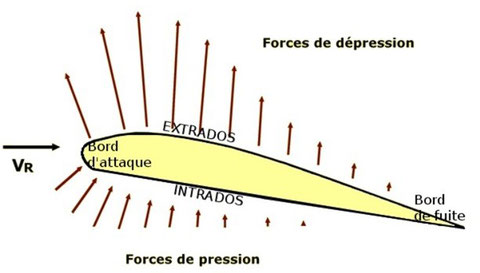 (Source dessin Wikipédia)