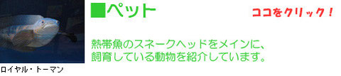 ■ペットのページへ移動します。