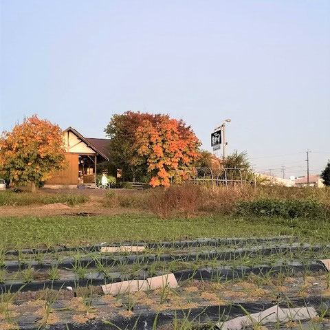 岐阜 美濃 関 郡上 各務原 長良川 板取川 うだつの町並み イタリア カフェ カナダ 飲食店 ご飯 パルマ レストラン グルメ バー ビストロ ランチタイム ディナー 夕食 お昼 食事 ログハウス 暖炉 薪ストーブ ソーシャルディスタンス スモーク 燻製 料理  テイクアウト チキン ウインナー サバ おつまみ 富有柿 ハンバーグ ピザ カレー スイーツ 仕込み パスタ ピザ ジビエ 天然酵母 無農薬 ワイン 胡椒 野草 本場の味 手作り おすすめ 人気 和む 癒し 大人 おしゃれ 居心地 デート 