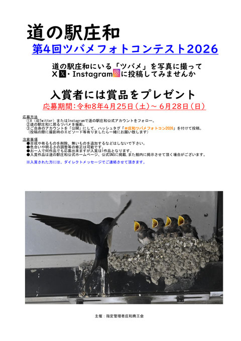 あえかライブ