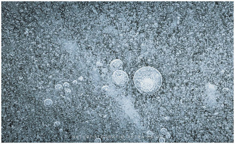 Bubbles