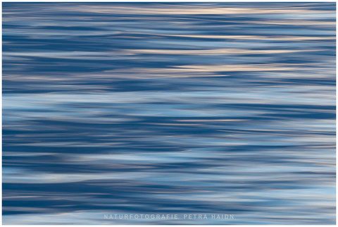 Nature in motion